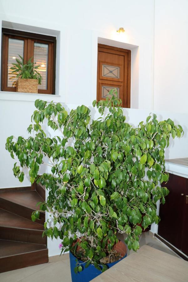 Angelica'S Deluxe Rooms In Adamas Luaran gambar